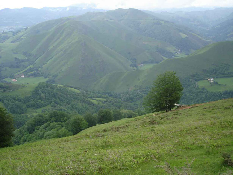 01SaintJean-Roncesvalles13