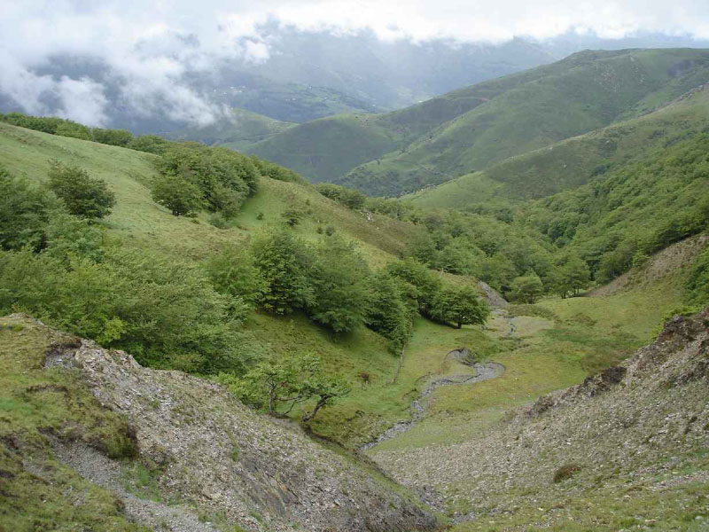 01SaintJean-Roncesvalles15