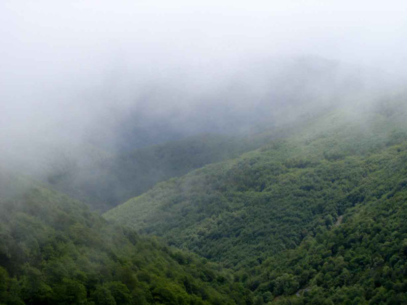 01SaintJean-Roncesvalles17