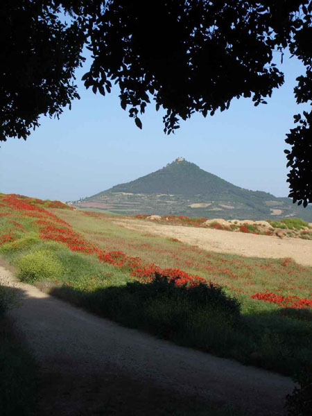 06Estella-Torredelrio10