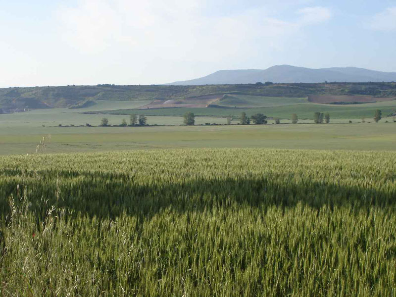 09St.Domingo-Belorad11