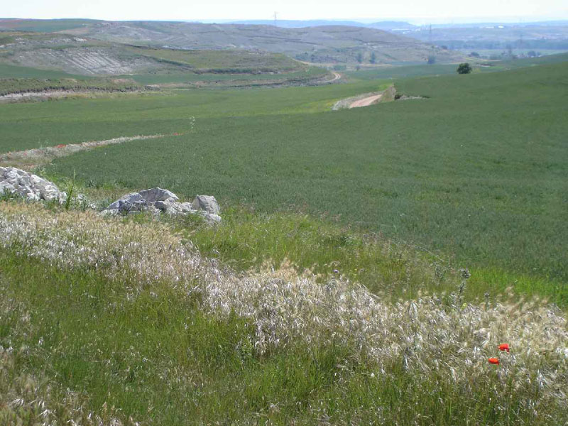 13Burgos-Hontanas101