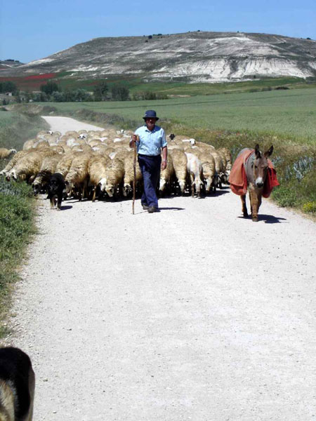 13Burgos-Hontanas102