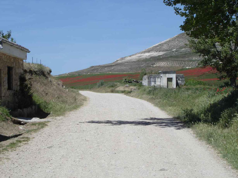 13Burgos-Hontanas103