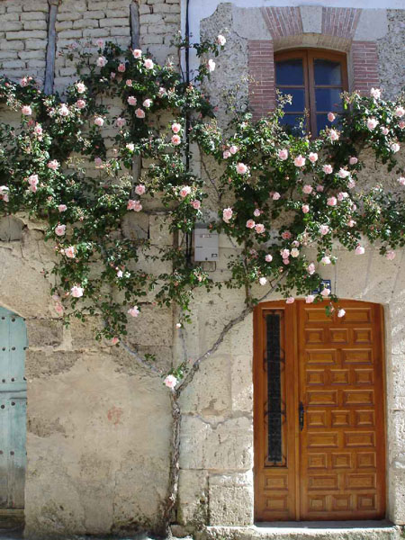 13Burgos-Hontanas105