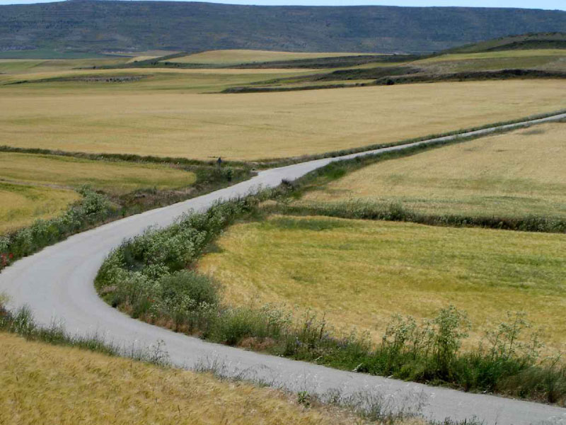 14Hontanas-Boadillo18