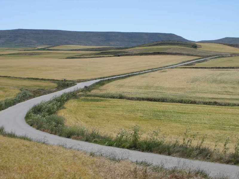 14Hontanas-Boadillo19