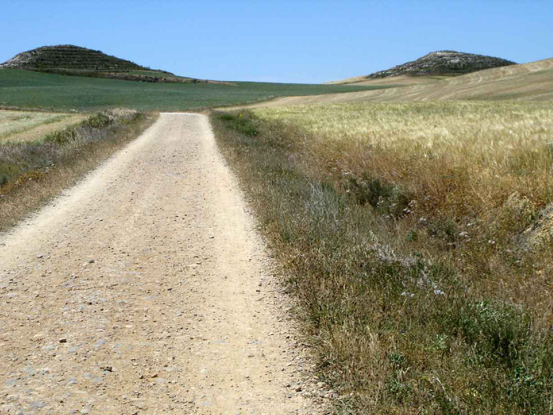 14Hontanas-Boadillo21