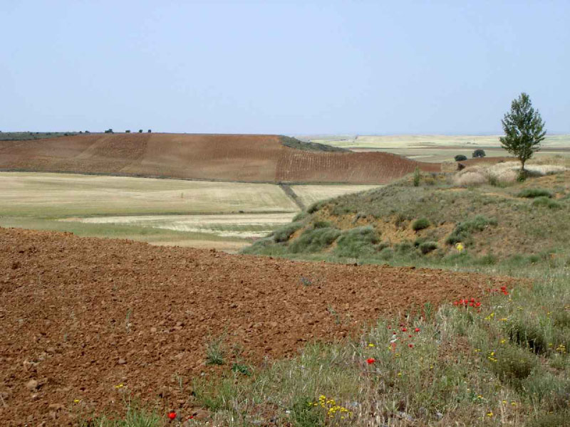 16Carrion-Terradillo3