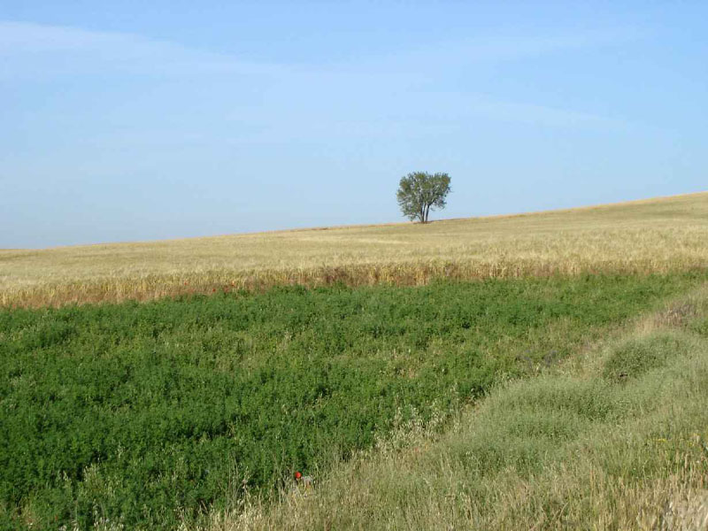 17Teradillo-Sahagun11