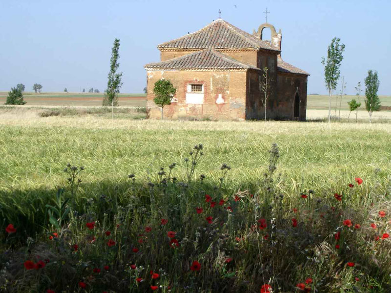 18Sahagun-Reliegos101