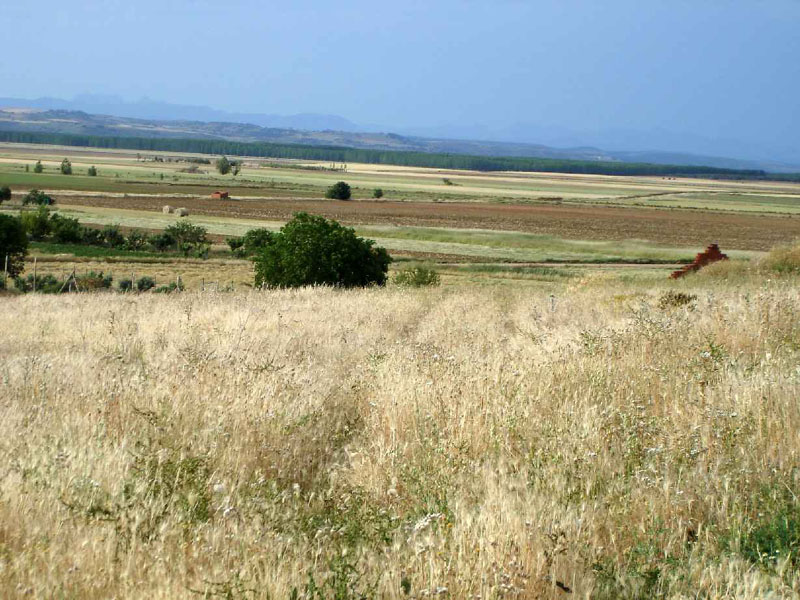 18Sahagun-Reliegos108