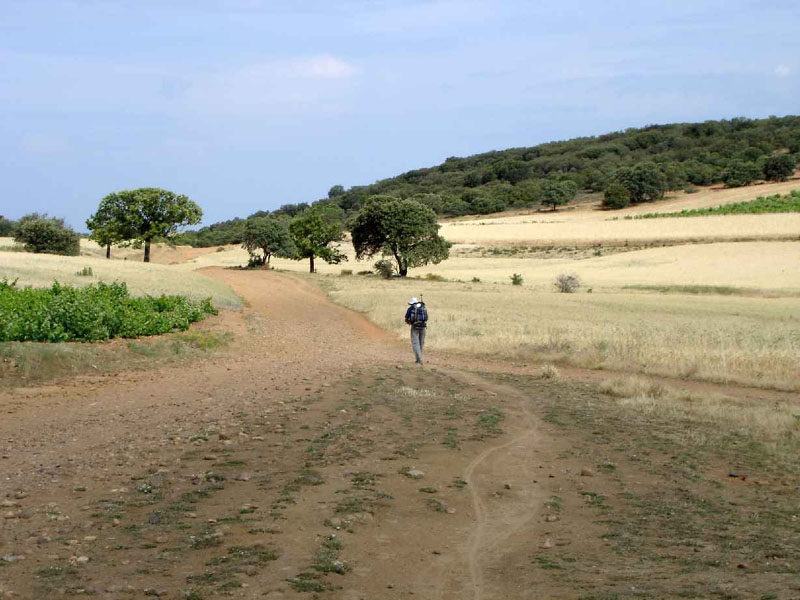 21Sanmartin-Astorga101