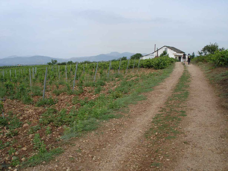 24Ponferrada-Villafranca3