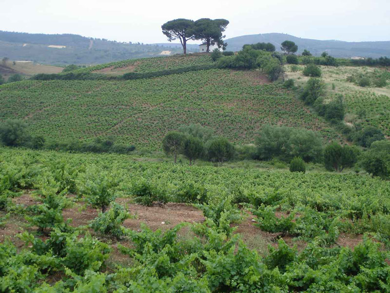 24Ponferrada-Villafranca4