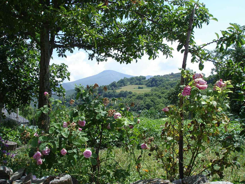 25Villafranca-LaFaba10