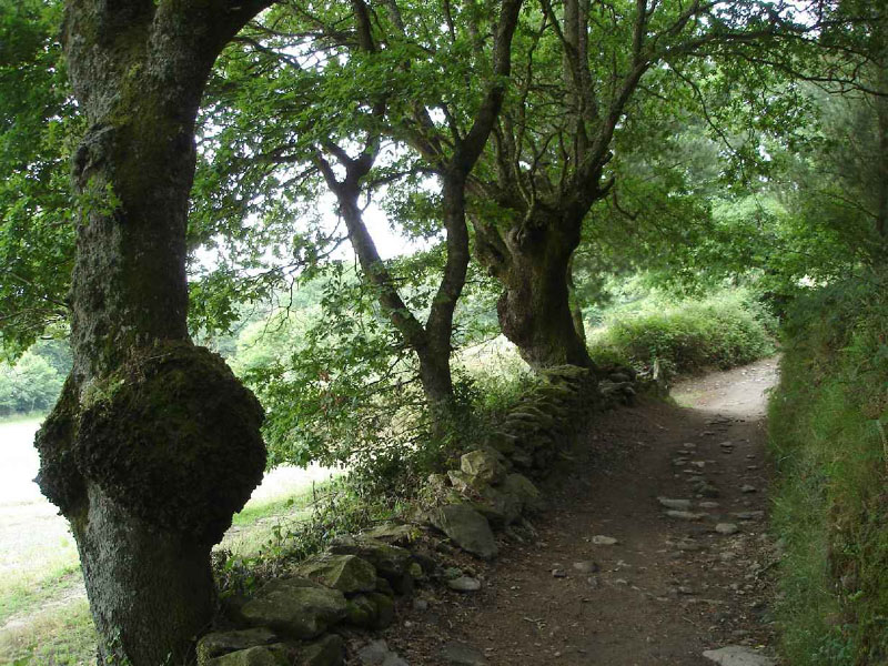 27Sarria-Hospital05124