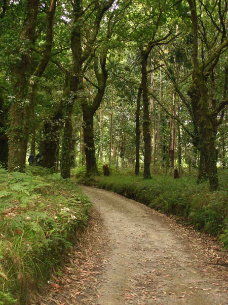 30Sta.Irene-MontedoGozo11