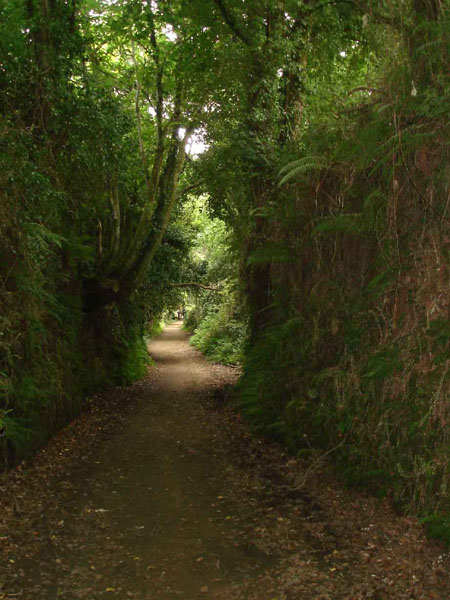 30Sta.Irene-MontedoGozo13